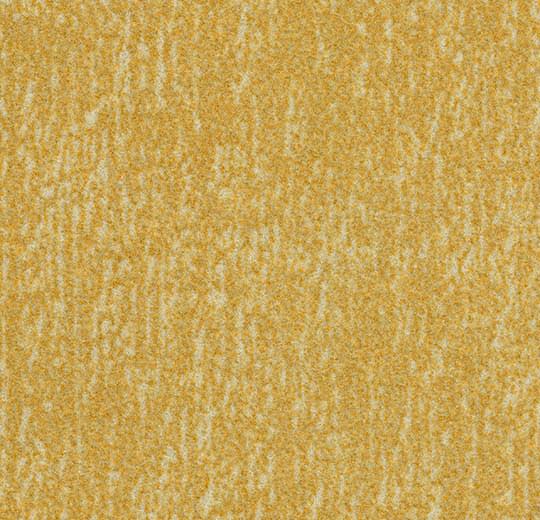 s445030 Canyon sulphur