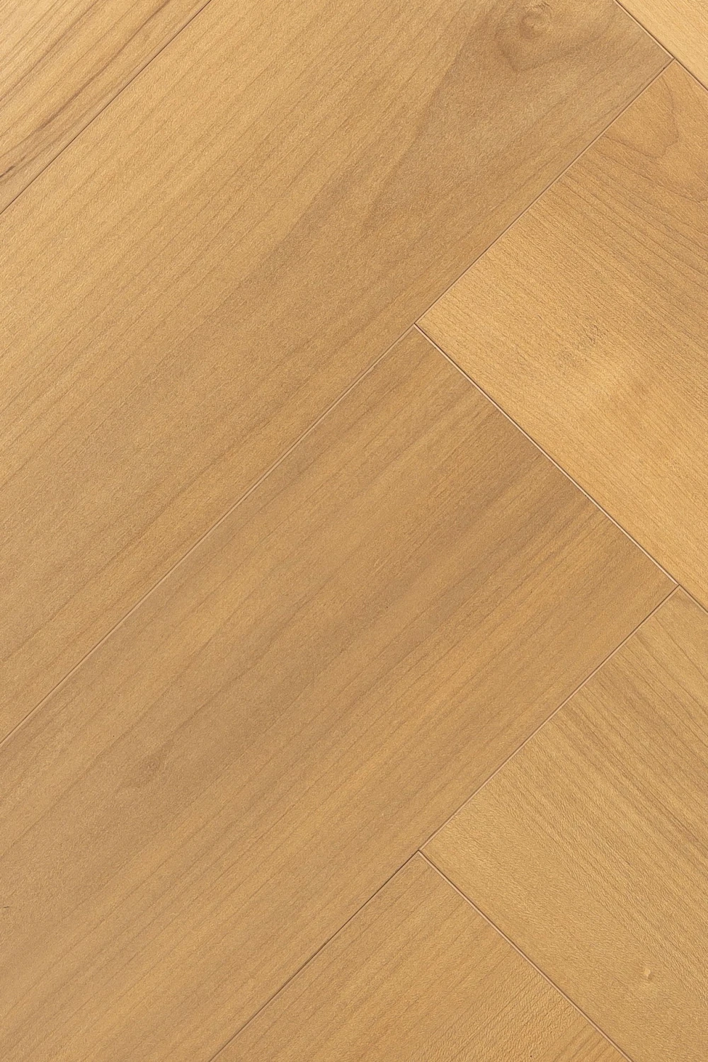 Дуб Ривьера | Rivera oak 1F411