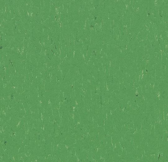 364735 nettle green