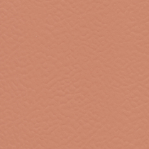 615 Rosa