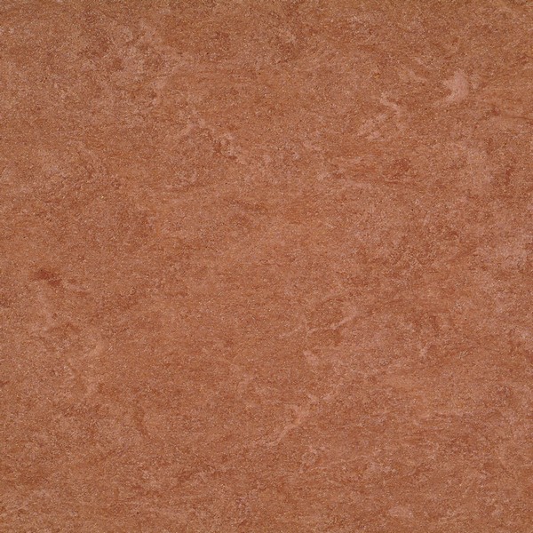 125-003 dark brown