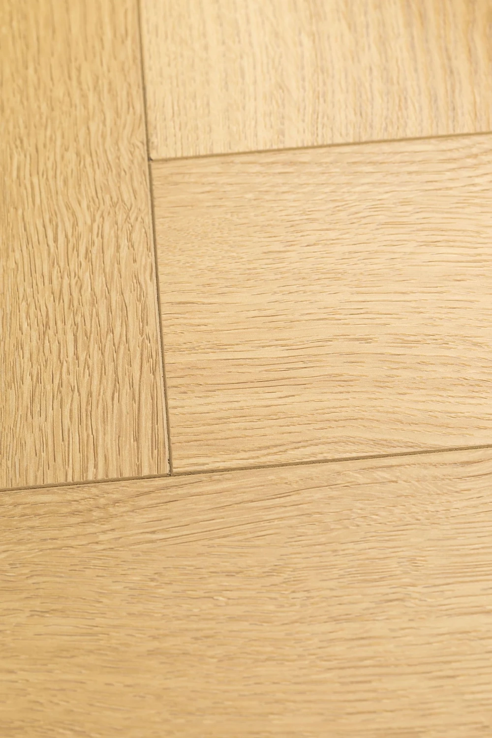 Дуб Церера | Cerera oak 1F436