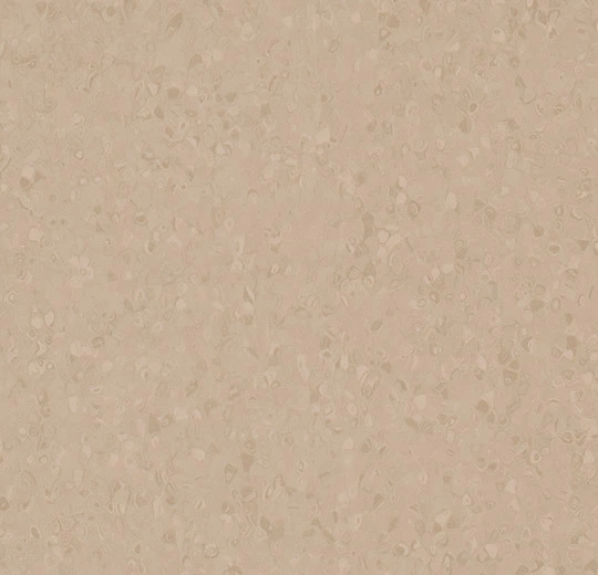 50088 latte