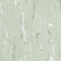 1007 Green