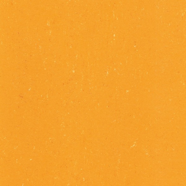 131-171 sunrise orange