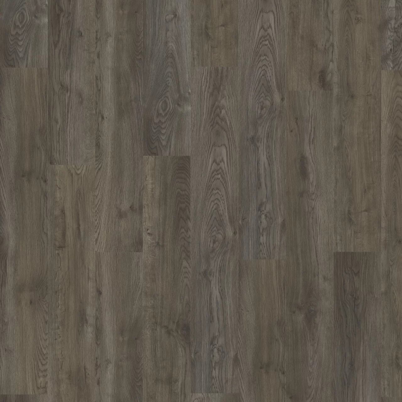AMERICAN OAK 04880