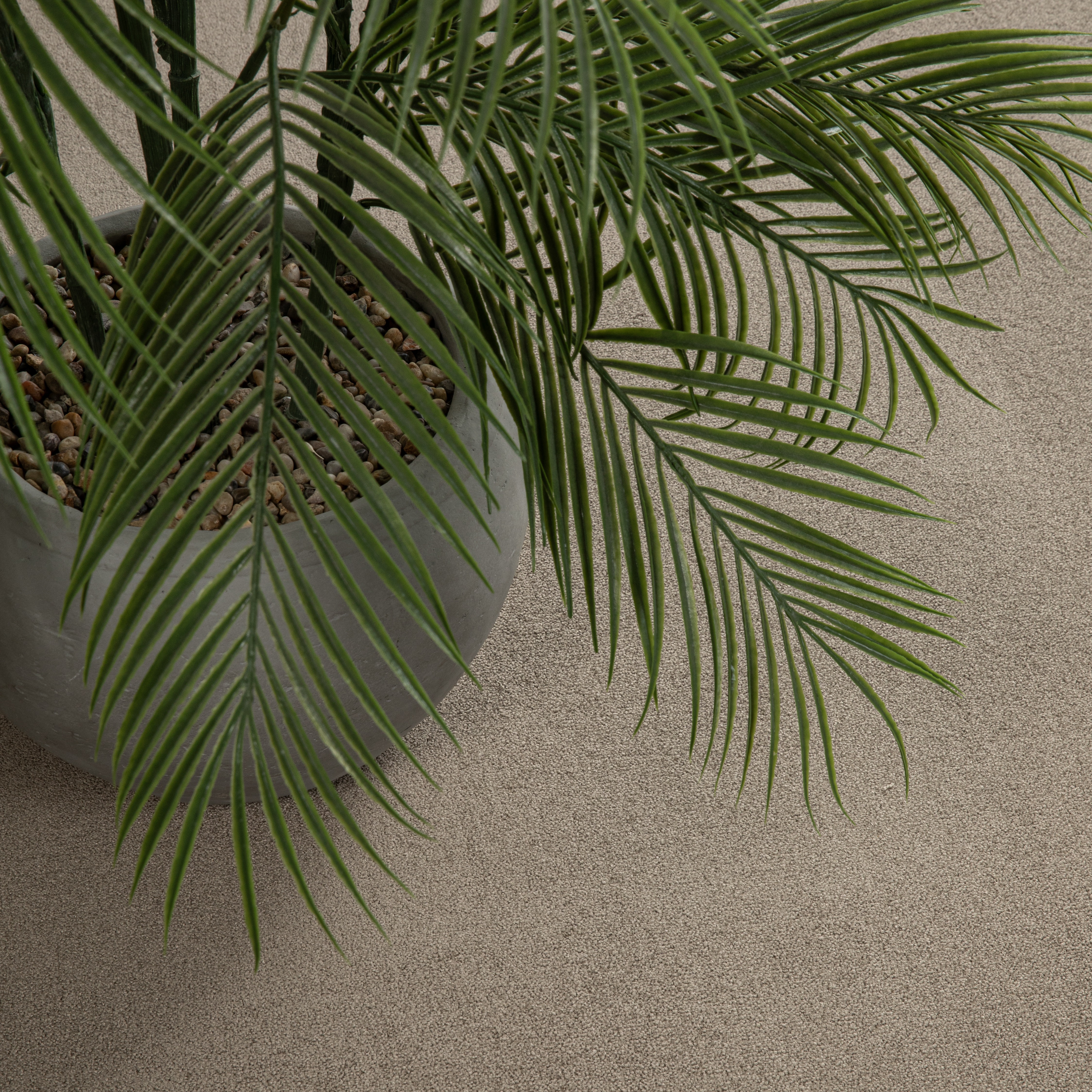 492