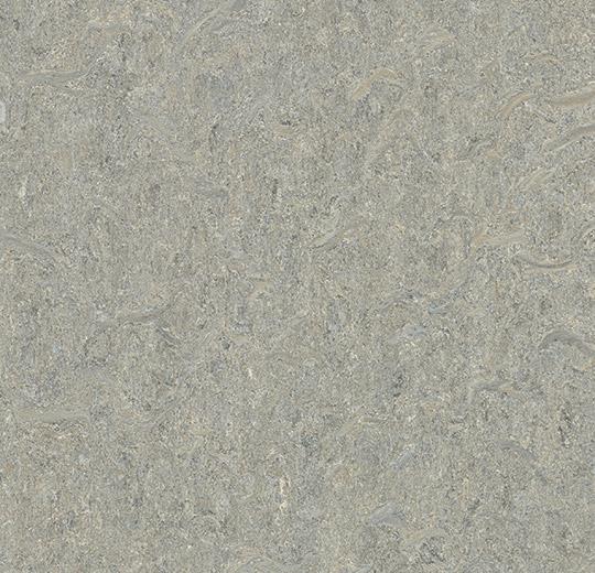 580235 alpine mist
