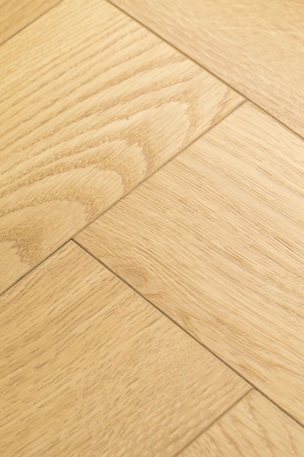 Дуб Церера | Cerera oak 1F436
