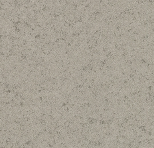 4211T4319 light grey canyon