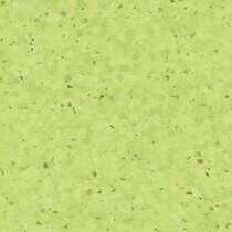 0338 Kiwi