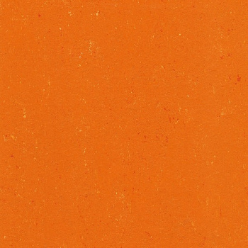 137-170 kumquat orange