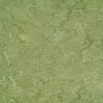 121-100 frog green